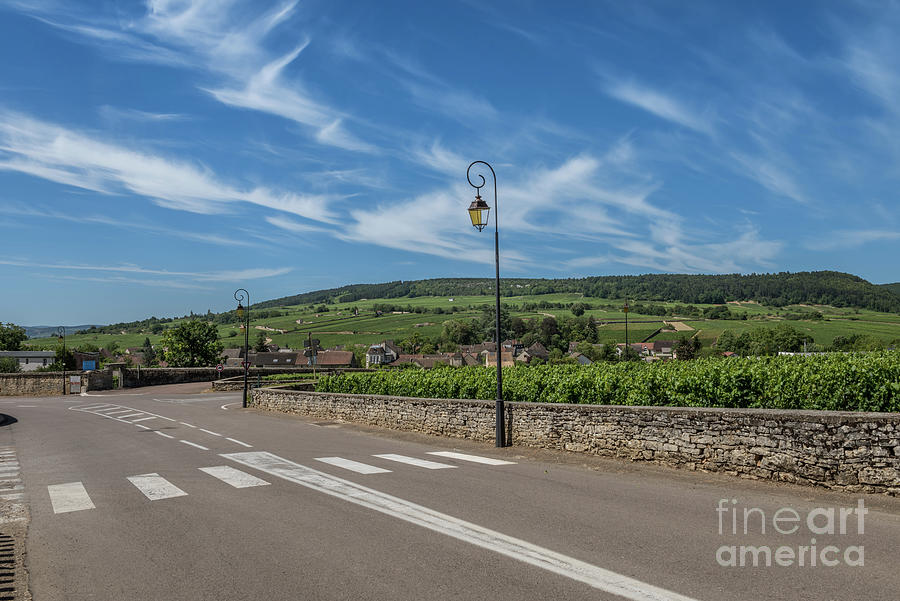 View To The Road And Vineyard In Burgundy Bourgogne Home Of Pinot Noir And Chardonnay In Summer Day With Blue Sky. Cote Dor Photograph