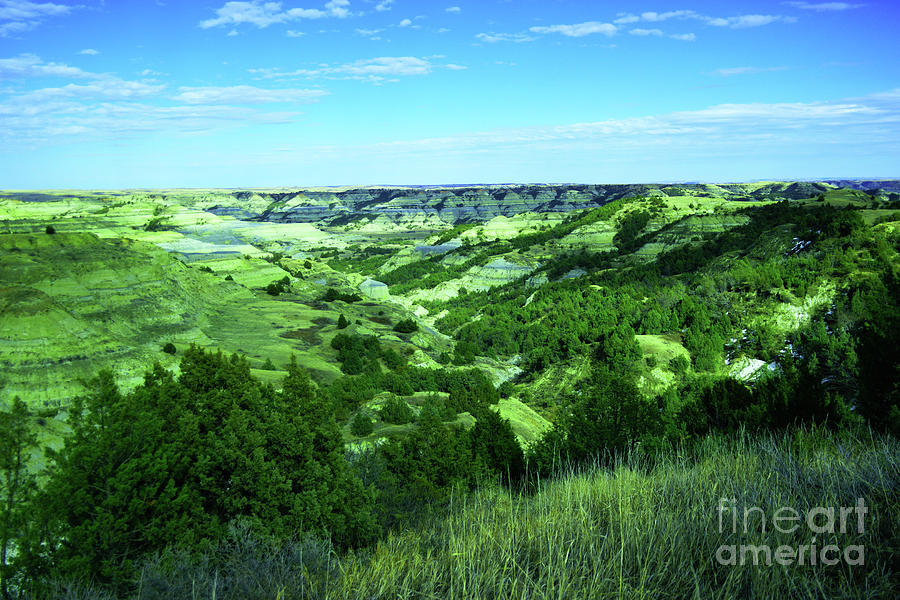 View within Makoshika state Park Glendive Montana Photograph by Jeff ...