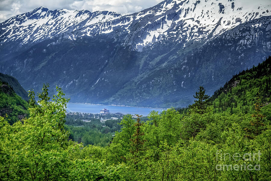 Viewing The Lynn Canal Photograph by Robert Bales - Fine Art America