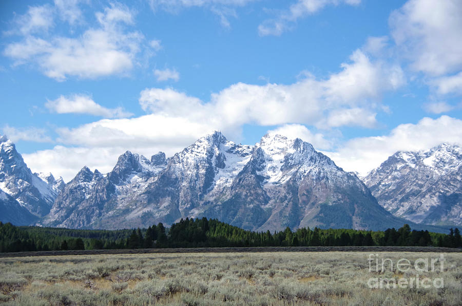 Viewing The Tetons Photograph
