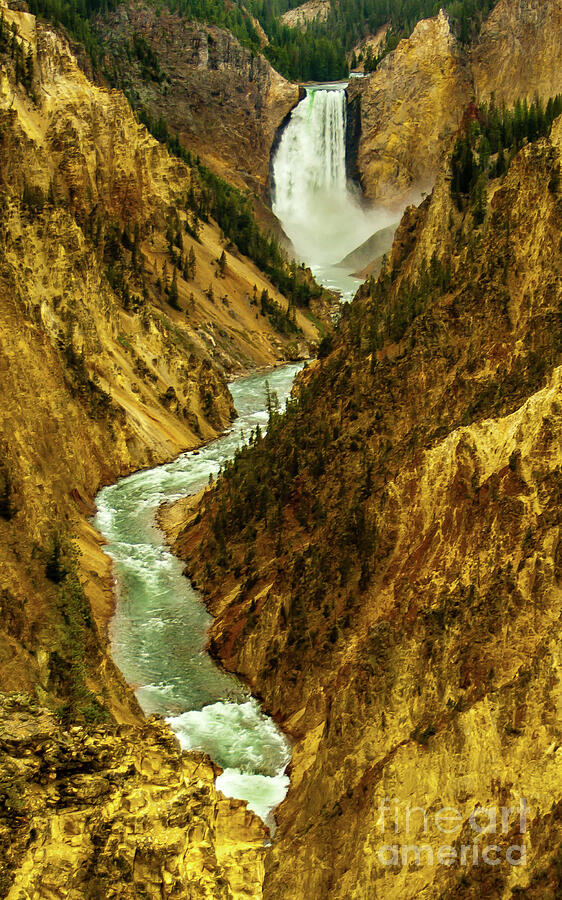 Viewing Yellowstone Falls Photograph by Robert Bales