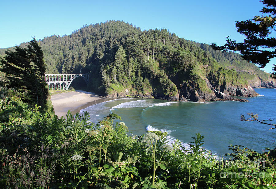 Views From Heceta Head Photograph by Suzanne Luft