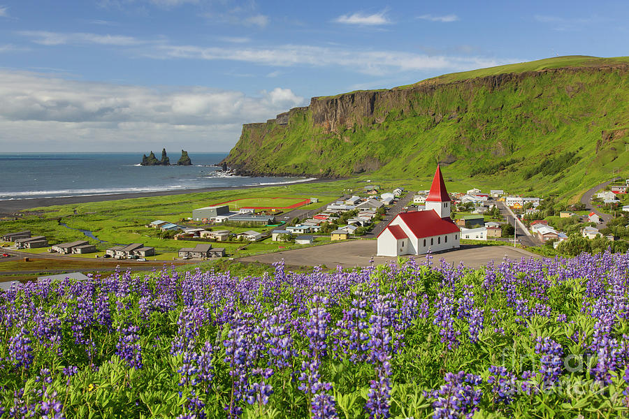 Vik, Iceland Photograph by Arterra Picture Library