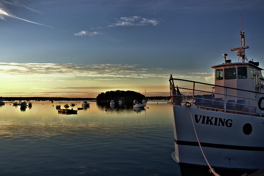 Viking  Photograph by Bruce Gannon