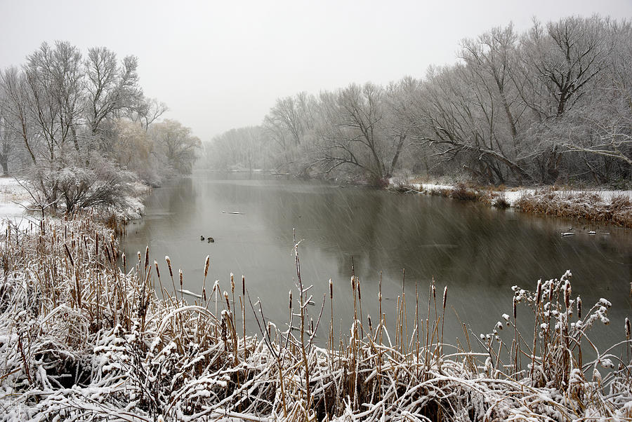 Viking Park Two-Tone  -  Yahara river in early winter near Stoughton WI Photograph by Peter Herman