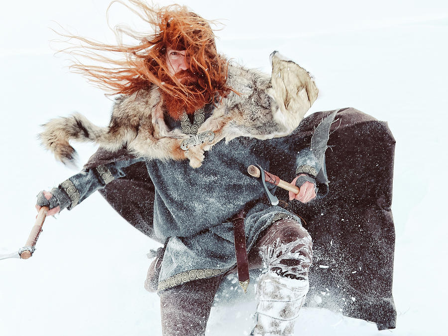 Viking Warrior Photograph by Katie Dobies