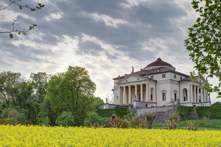 Villa La Rotonda sorrounded by yellow rapeseed flowers. Vicenza-Italy. Photograph by Nimu1956