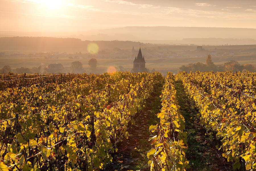 Village and vineyards in autumn, Champagne, France Photograph by Matteo Colombo