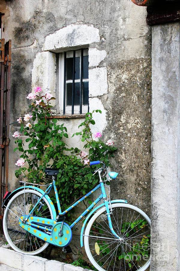 Village Bicycle Photograph by Felicia Roth