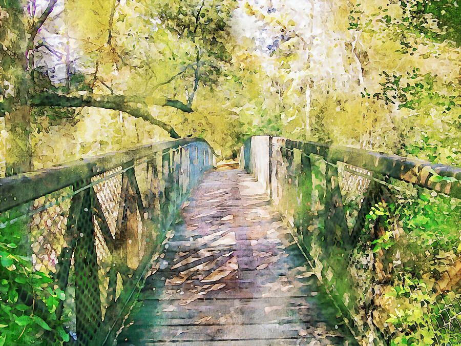 Village Creek Footbridge Digital Art by Doyle Welborn - Fine Art America