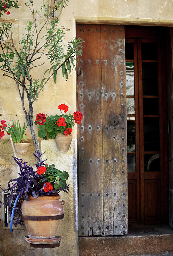 Village Flowers and Door Photograph by Catalina Lira - Fine Art America