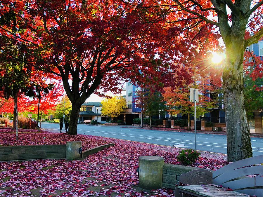 Village Square Photograph by Jessica Blakely - Fine Art America