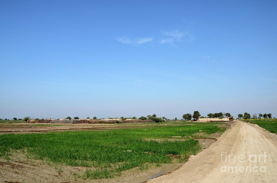 Village with houses surrounded by farmland near Mirpurkhas Sindh Pakistan Photograph by Imran Ahmed