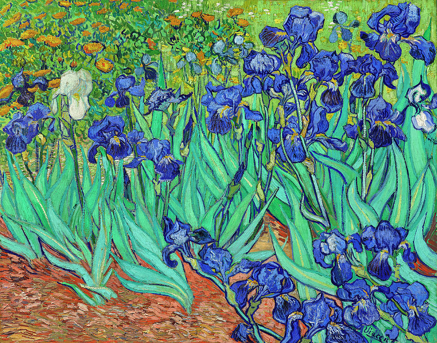 Vincent Van Gogh blue Irises flower painting Painting by JJ Art ...