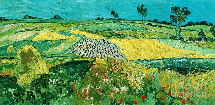 Vincent van Gogh - The Plain of Auvers Painting by Alexandra Arts