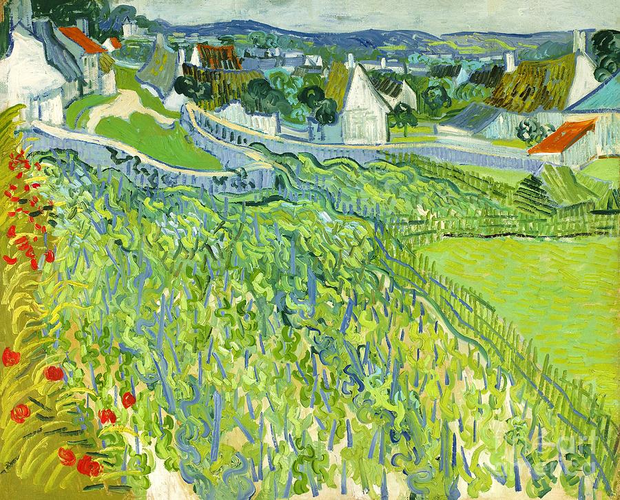 Vincent van Gogh - Vineyards at Auvers Painting by Alexandra Arts