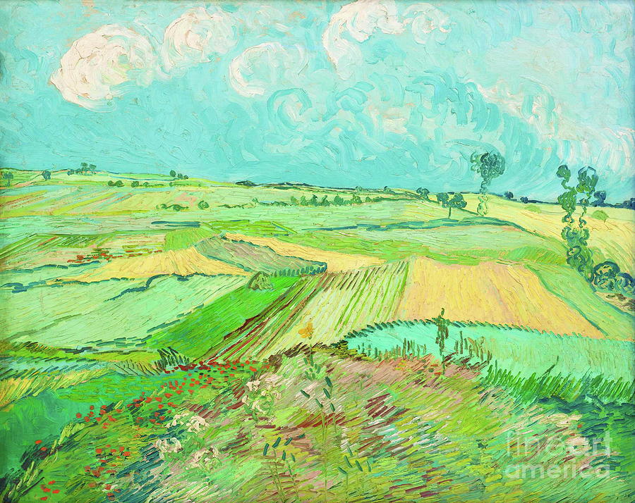 Vincent Van Gogh Wheat Fields After The Rain Painting By Alexandra