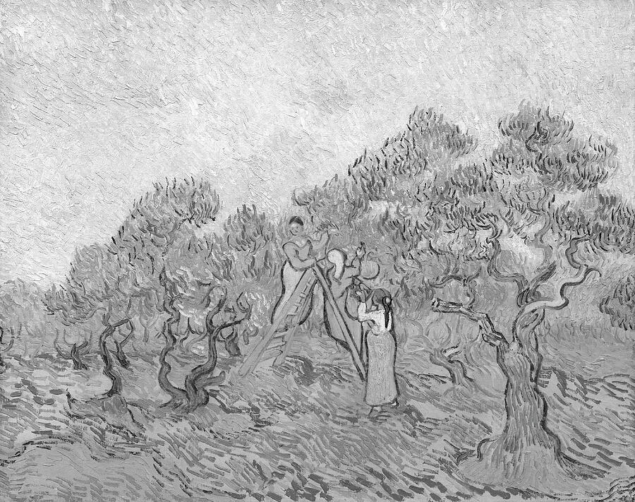 Vincent van Goghs The Olive Orchard 1889 BW Painting by Bob Pardue