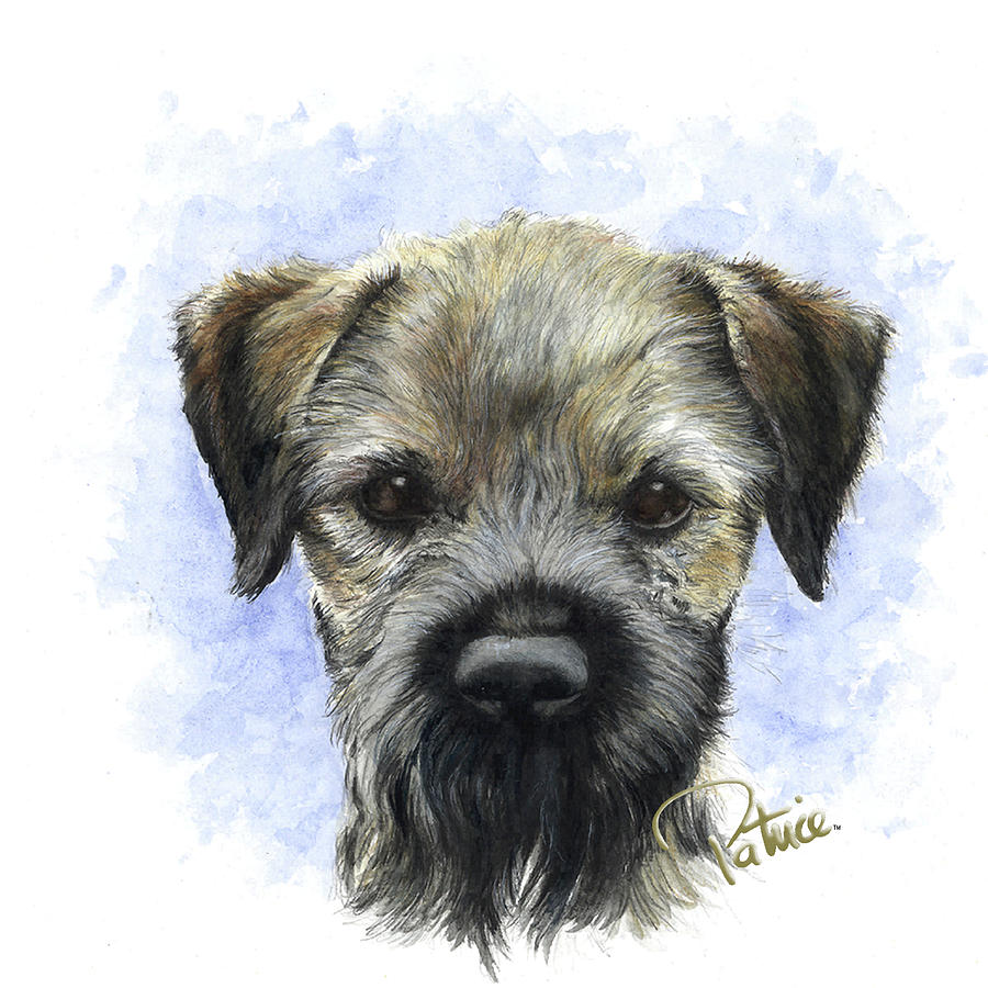 Vinces Border Terrier Painting by Patrice Clarkson