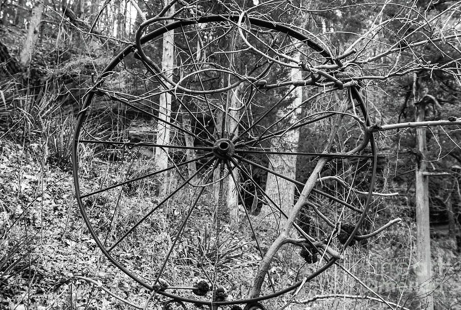 Vine Covered Wheel Grayscale Photograph by Jennifer White