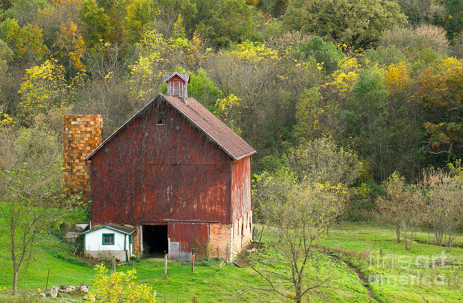 Vined In Barn Photograph by Jan Day