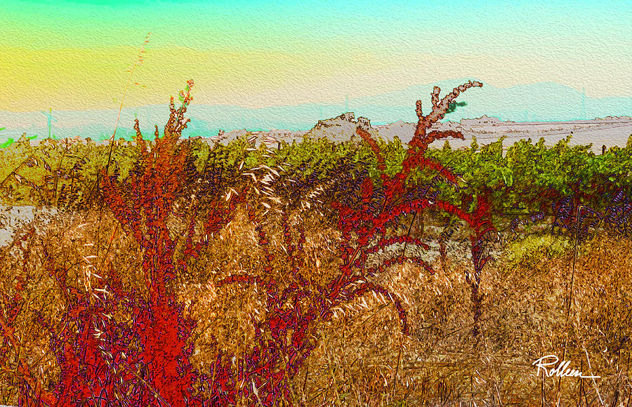 Vines Behind The Brush Photograph by Rolleen Carcioppolo