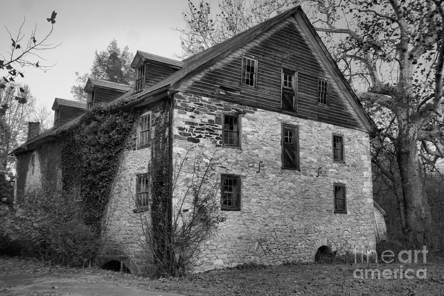 Fall Photograph - Vines On The Old Mill Black And White by Adam Jewell