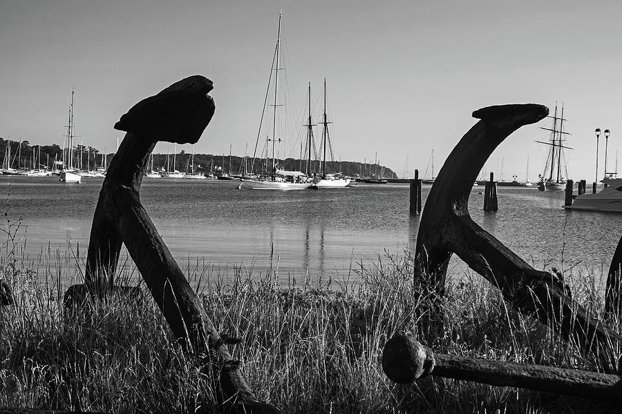 Vineyard Haven Tisbury MA Rusty Anchors  and Beautiful Boats Marthas Vineyard Black and White Photograph by Toby McGuire