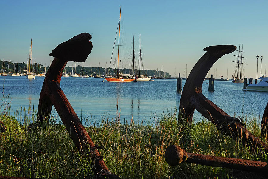 Vineyard Haven Tisbury MA Rusty Anchors  and Beautiful Boats Marthas Vineyard Photograph by Toby McGuire