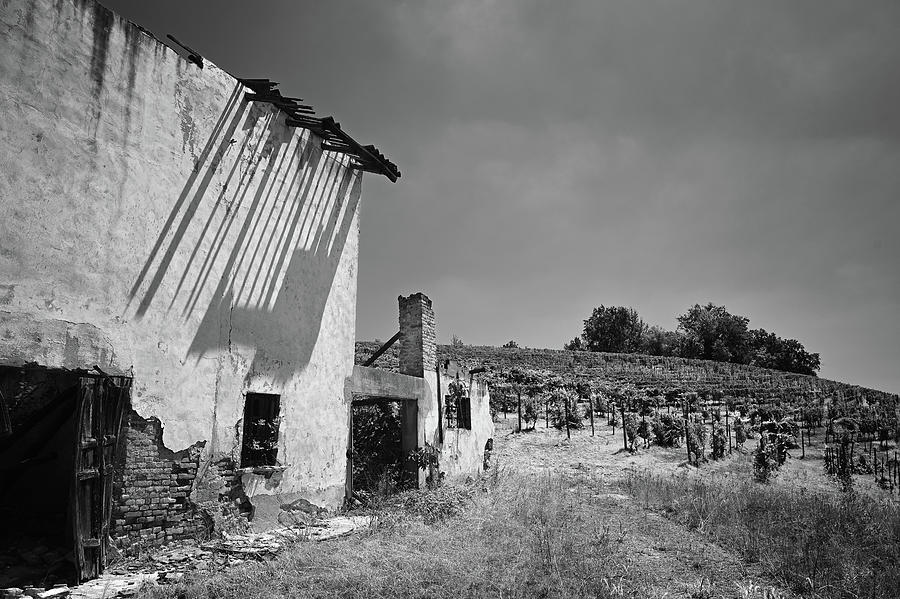 Vineyard Ruin Photograph by Steven Nelson