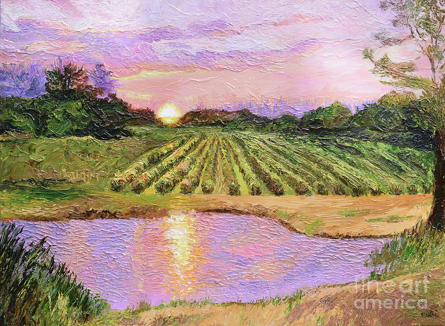Vineyard Sunset Painting by Anne Cameron Cutri