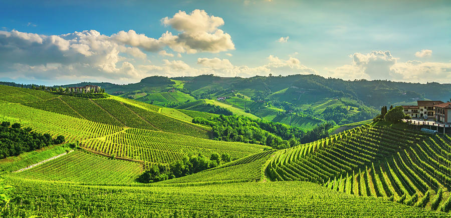 Vineyards and Hills in Langhe region. Photograph by Stefano Orazzini