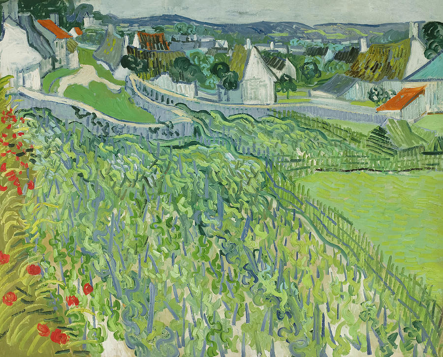 Vineyards At Auvers By Vincent Van Gogh Painting