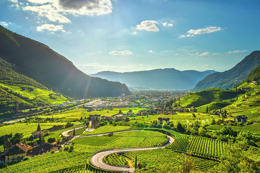 Vineyards in Santa Maddalena Bolzano Photograph by Stefano Orazzini
