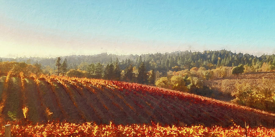 Vineyards in Tuscany - 05 Painting by AM FineArtPrints