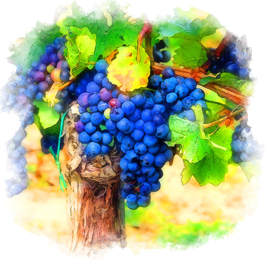Vineyards in Tuscany - 09 Painting by AM FineArtPrints