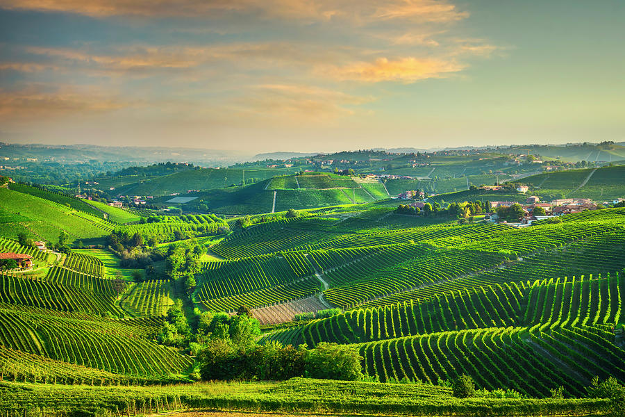 Vineyards of the Langhe panoramic view. Italy Photograph by Stefano Orazzini