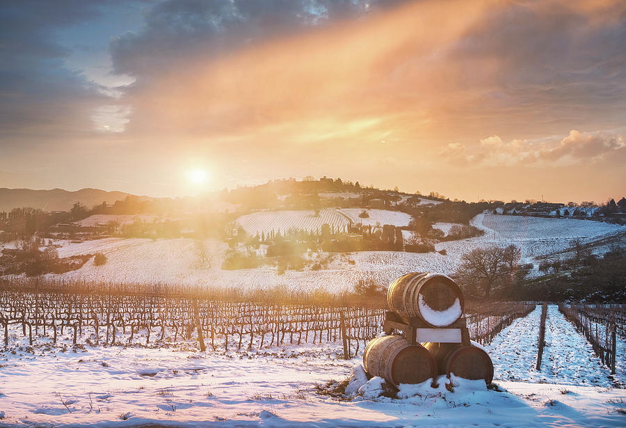 Vineyards rows covered by snow in winter at sunset. Chianti, Sie Photograph by Stefano Orazzini