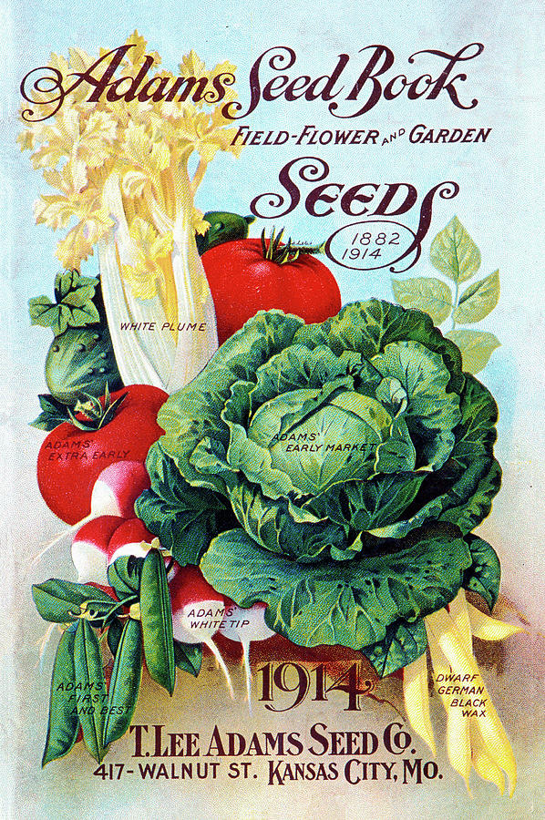 Vintage 1914 Vegetable Seed Catalog Cover Painting by Peggy Collins