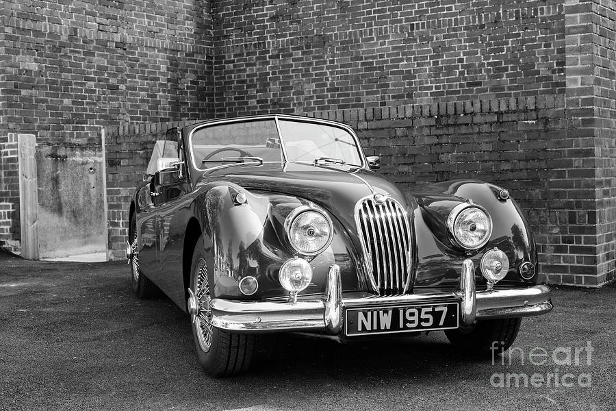 Vintage 1955 Jaguar Car Monochrome Photograph by Tim Gainey