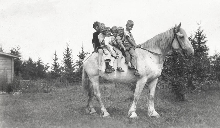 Vintage Photograph - Vintage 6 Kids on a Horse by Marilyn Hunt