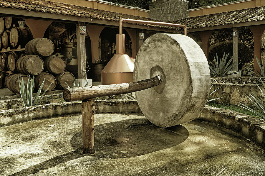 Vintage Agave Nectar Press for Tequila Photograph by Bill Swartwout