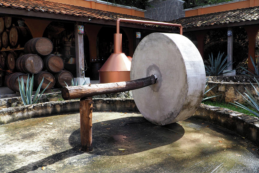 Vintage Agave Press for Making Tequila Photograph by Bill Swartwout