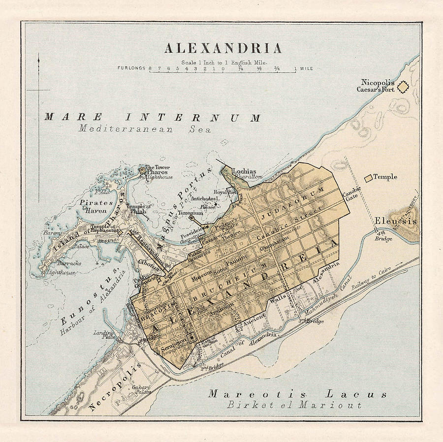 Vintage Alexandria Egypt Map 1874 Drawing By Adam Shaw - Pixels