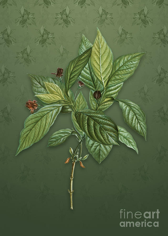 Vintage Alpine Honeysuckle Plant Botanical Art on Lunar Green Pattern n.1005 Mixed Media by Holy Rock Design