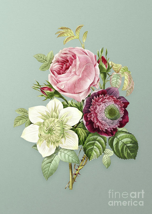 Vintage Anemone Rose Botanical Art on Mint Green n.0281 Mixed Media by Holy Rock Design