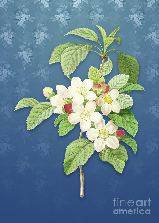 Vintage Apple Blossom Botanical Art on Bahama Blue Pattern n.1234 Mixed Media by Holy Rock Design