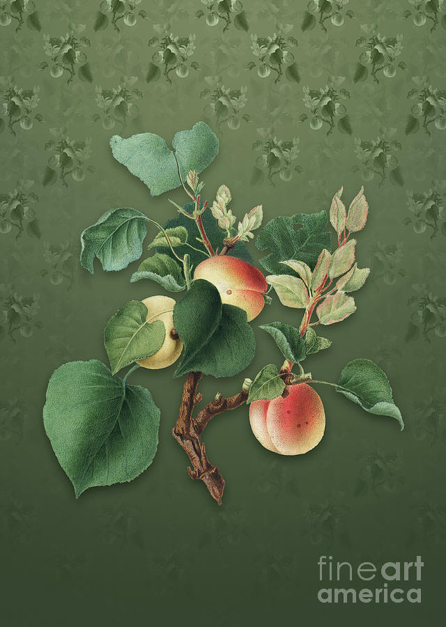 Vintage Apricot Botanical Art On Lunar Green Pattern N.0134 Mixed Media