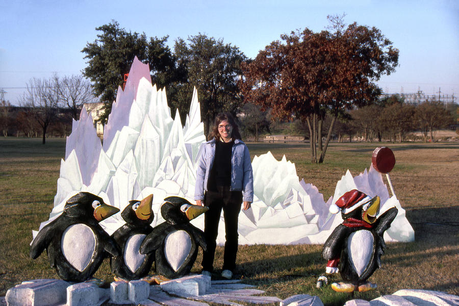 Vintage Austin Christmas Penguins 1 Photograph by Marilyn Hunt