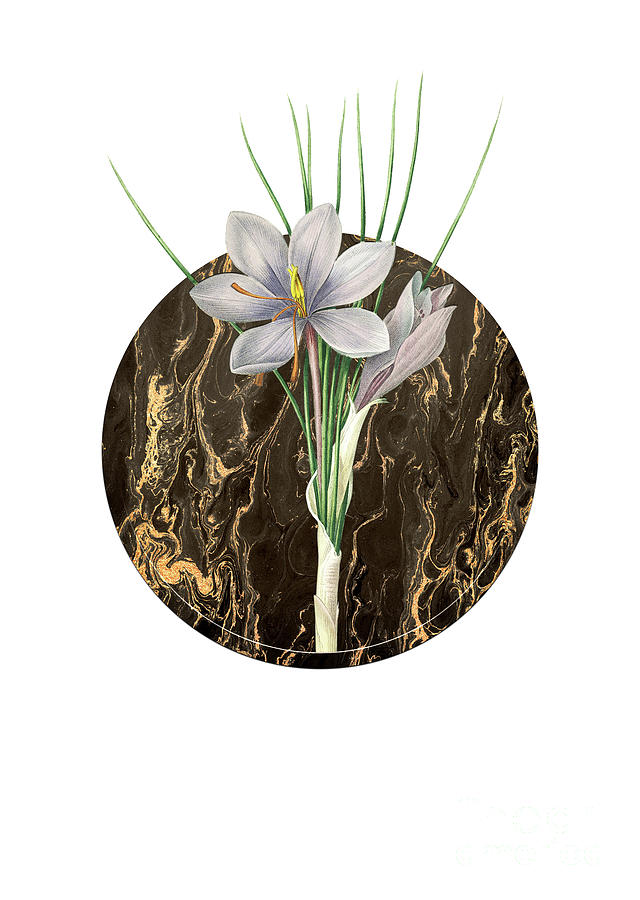Vintage Autumn Crocus Art in Gilded Marble on Clean White Painting by Holy Rock Design